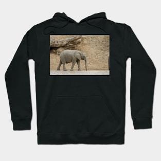 Baby Elephant Hoodie